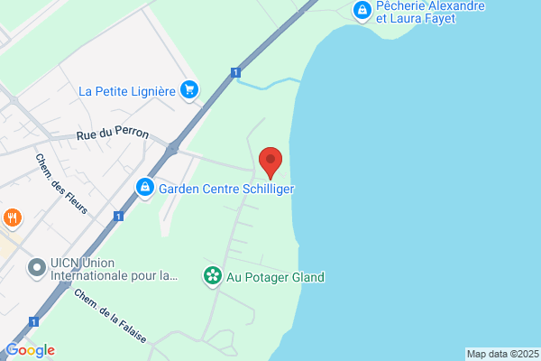 Manoir SA