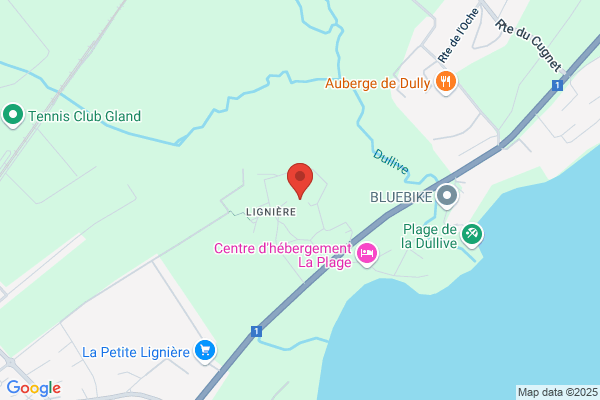 Dennis Rathe
