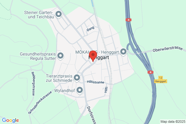 Ruesch Informatik GmbH