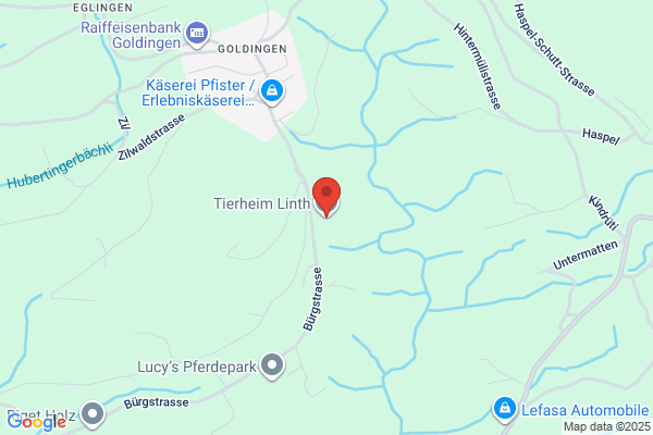 Tierheim Linth