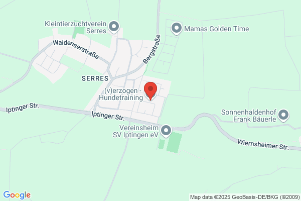 DeinHundetrainer.ch