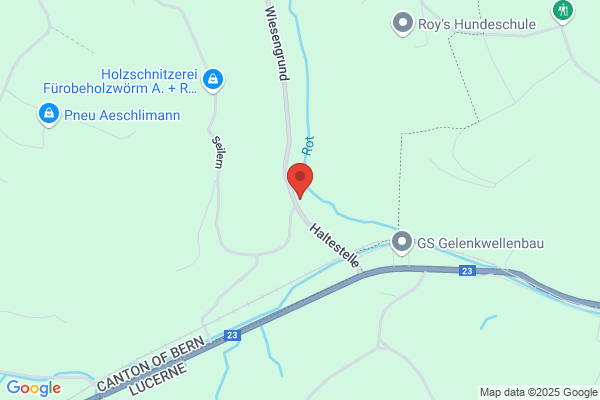 Flueckiger u. Braunschweiler Saegereimaschinen AG
