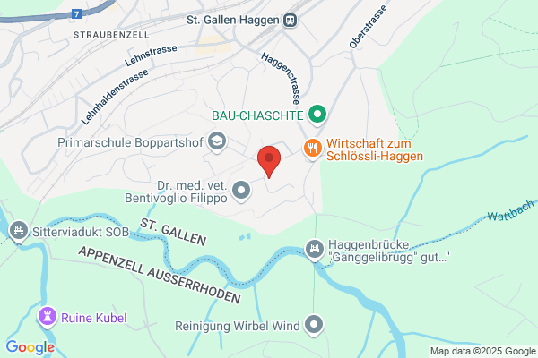 Baenziger Software AG