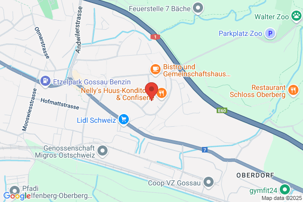 Ballonfahrten Boppart