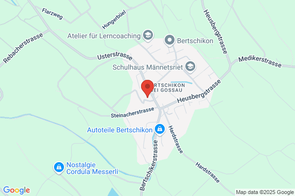 Wizard und Genius Idealdecor AG