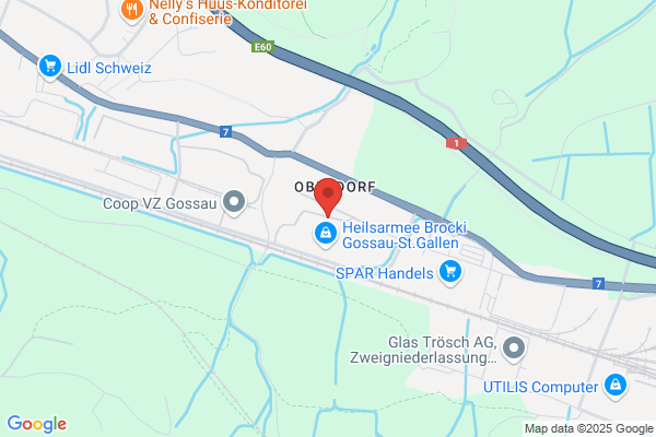 FAHRSCHUL-ZENTRUM Zueri-Oberland