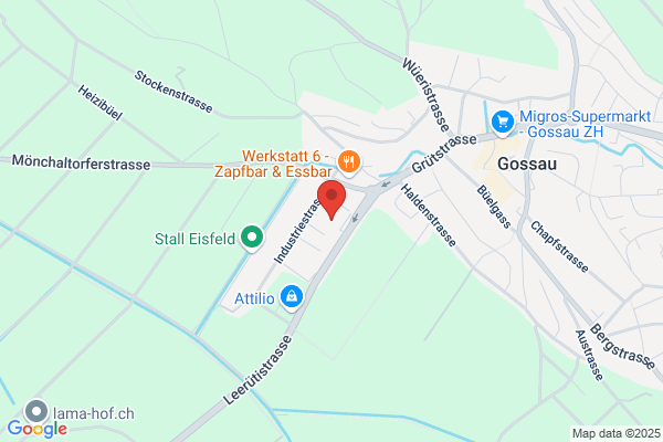Pex Kurierdienst