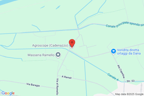 AGRIDEA SA