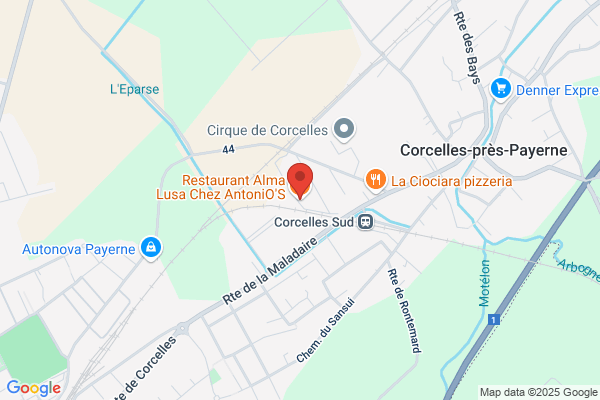 Alma Lusa Chez AntoniO'S