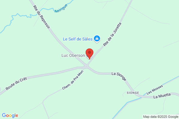 Luc Oberson Sàrl