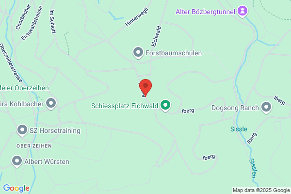 Adolf Gloor