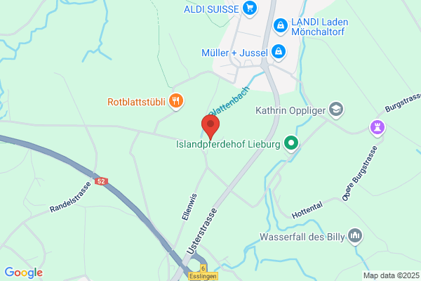 Architekturbuero Pfister
