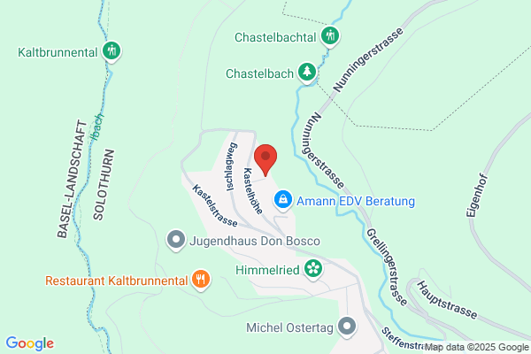 Fahrschule P. Fricker