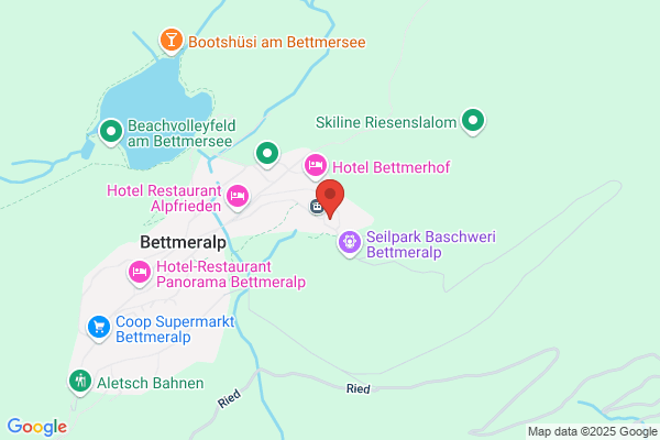 Hotel Aletsch