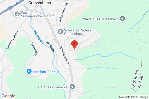 Hundeverhaltensberatung kleiner Wolf