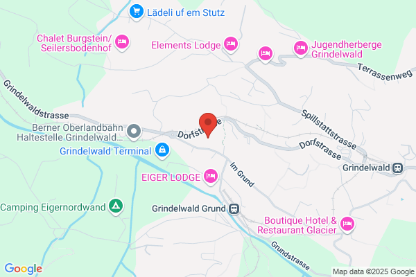 Chalet Alia and Apartments Grindelwald - Swiss Hotel Apartments