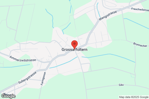 Auto Tschanz