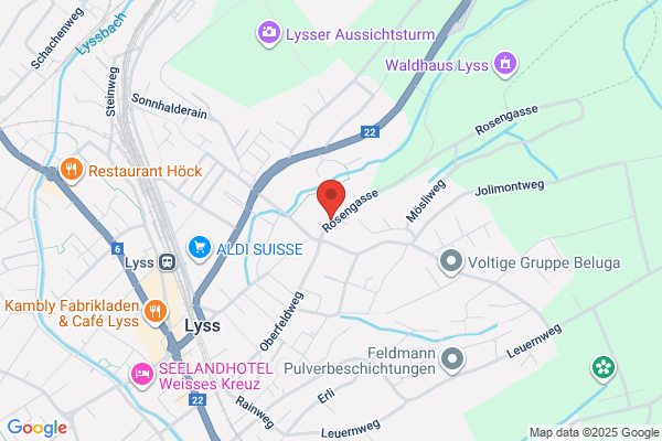 Rindlisbacher Vermessung AG