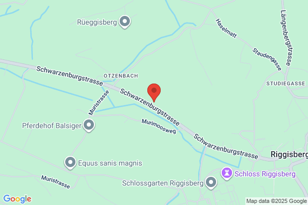 Strehler Holzbau