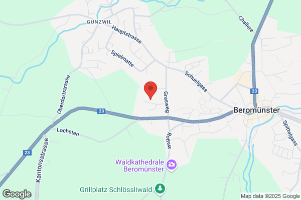 Hanspeter Amrein