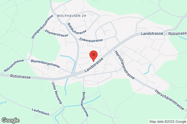 Pusterla Mercenari GmbH