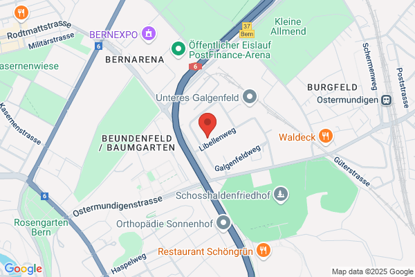 Holzbau Zueri AG