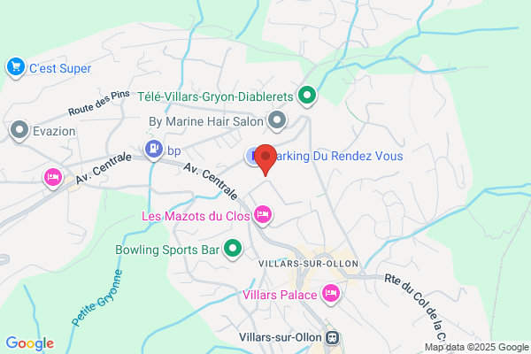 Le Bois Dubi SA