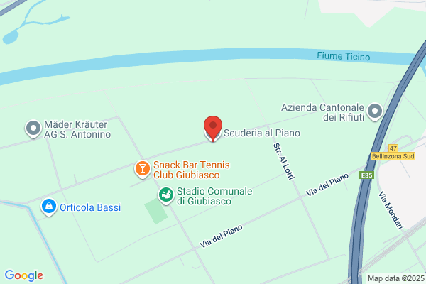 Scuderia al Piano SA
