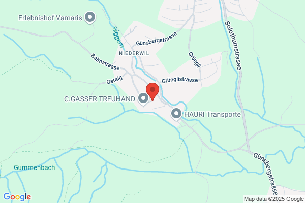 C.GASSER TREUHAND GmbH