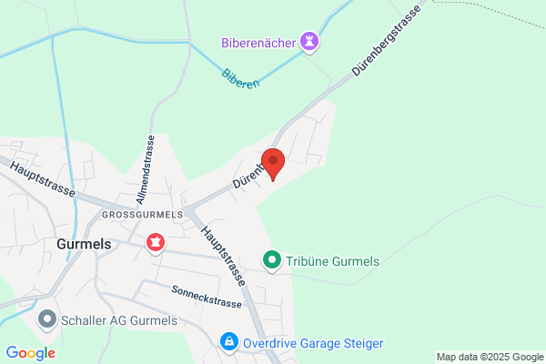 Paulis Fahrschule