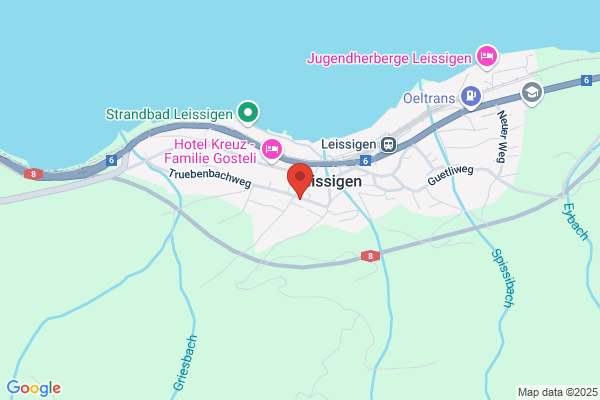 Blitz-Reinigung Wyss