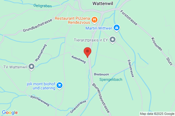 Elektro Schlapbach und Co