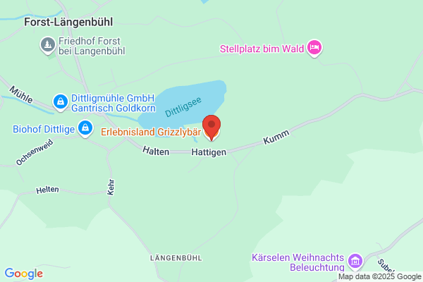 Erlebnisland Grizzlybär