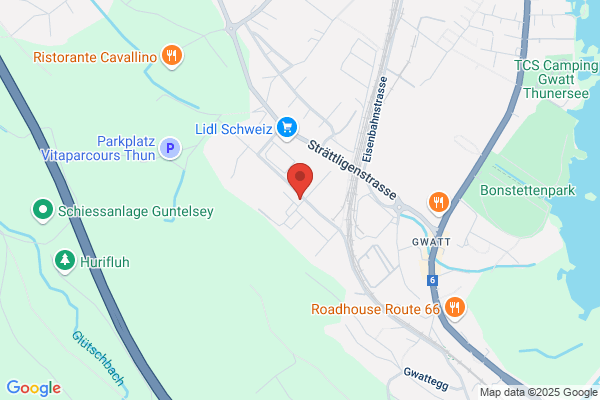 Luginbühl Gwatt GmbH