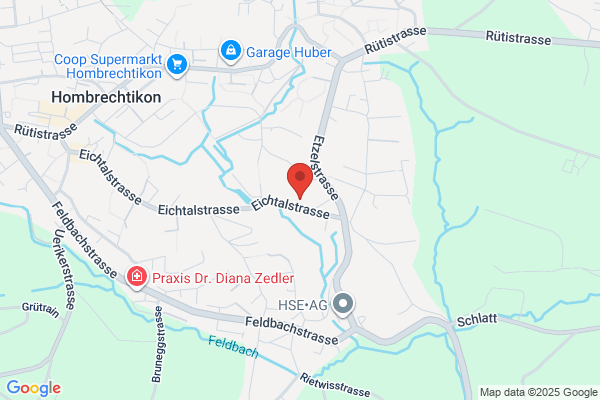 swissfuture