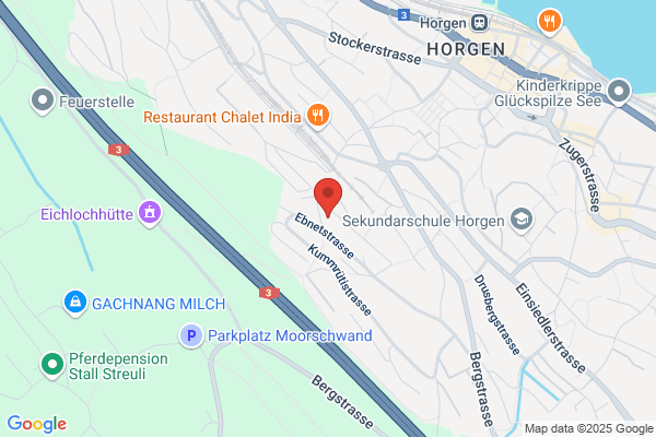 digitalis Software R. Zoebeli