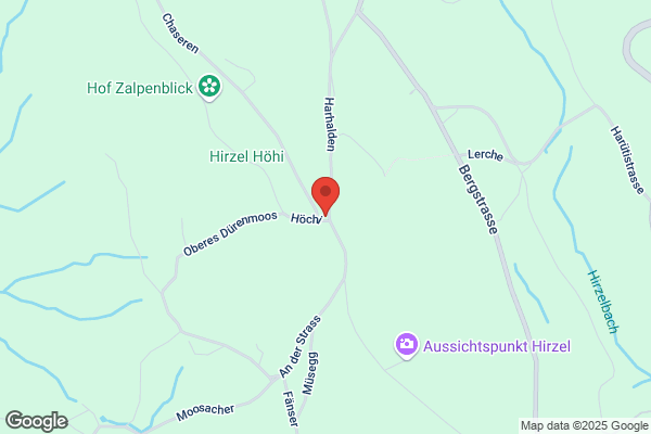 Restaurant Höchi Hirzel GmbH