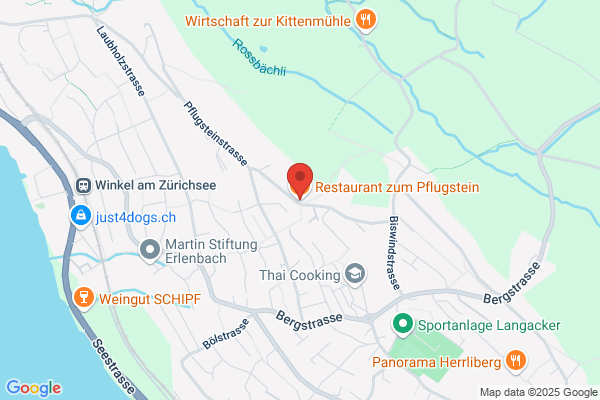 Restaurant Pflugstein