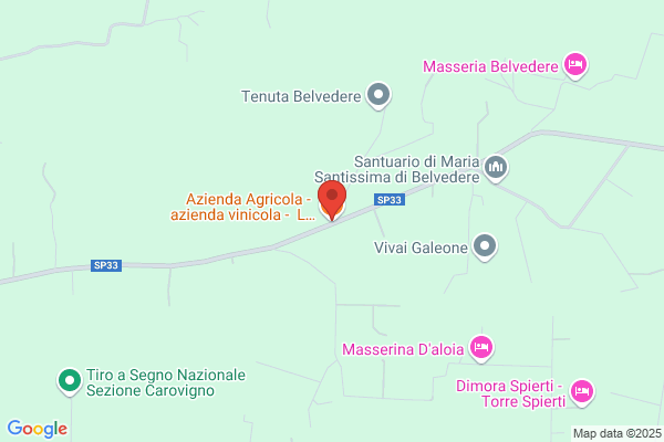 SALENTO Wein und Olivenoel aus Apulien