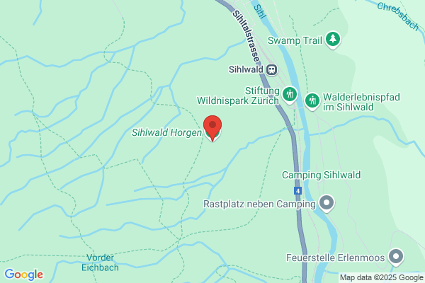 Naturlandschaft Sihlwald