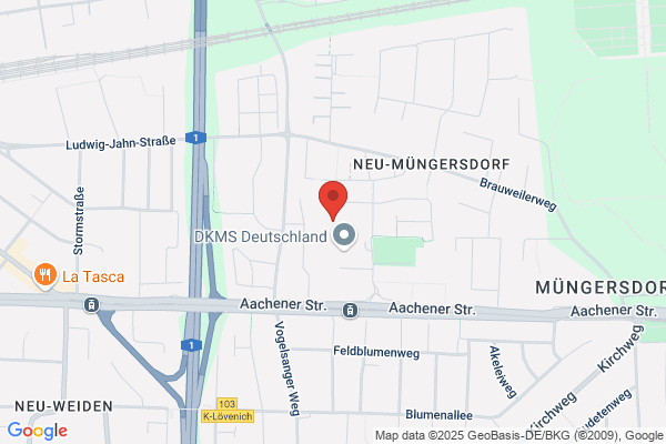 INDUVER - Kurt E. Naef Industrie- und Handels- vertretungen