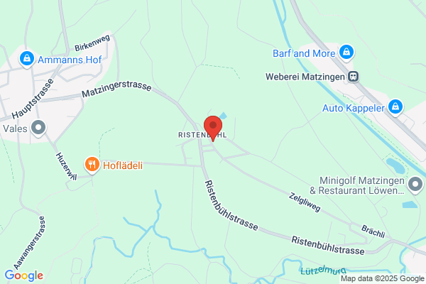 AKUPUNKTUR
