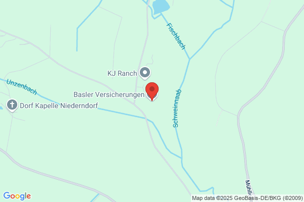 Basler Versicherungen