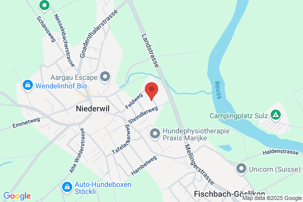 Immavia GmbH