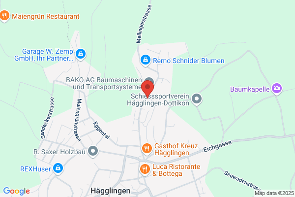 Geissmann Hans AG
