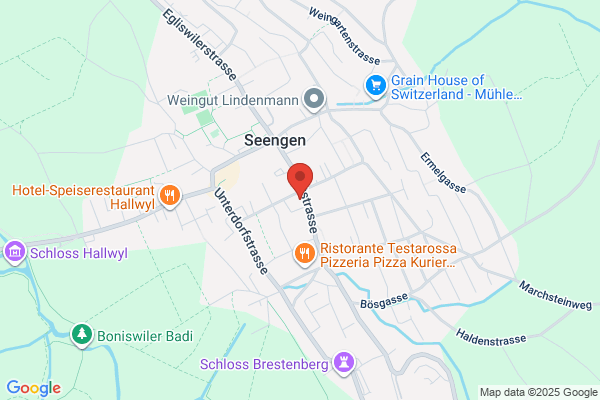 Landi Laden Seengen