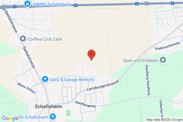 Birchler Transporte GmbH