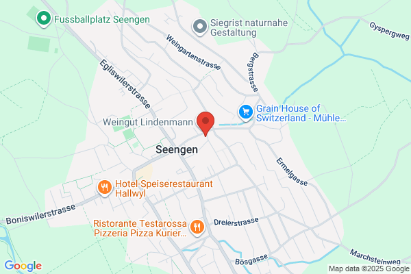 E. Luescher Industrieanlagen AG