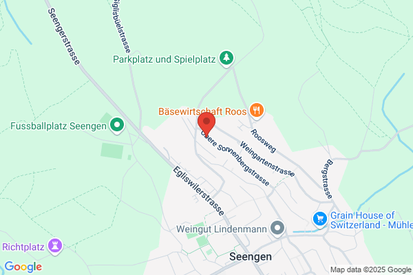 Efficiency Management GmbH