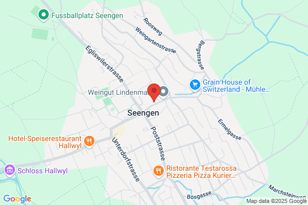 Fritz Haefeli Autosattlerei AG